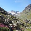 Alpentour-2015